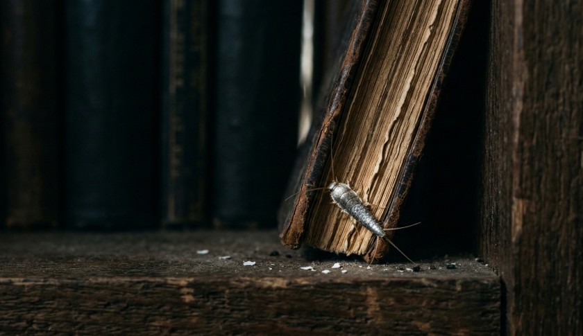 Чешуйница  в книгах