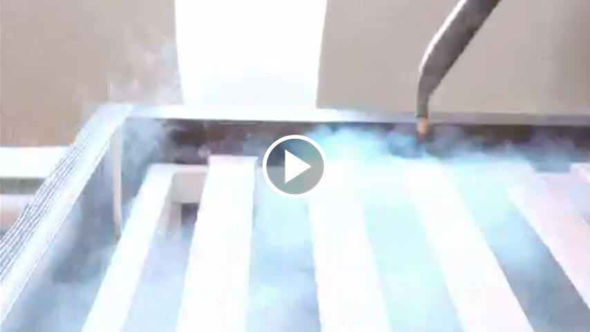 Термическая дезинсекция: Уничтожение клопов сухим паром