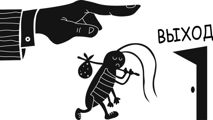 Как избавиться от тараканов без дезинсектора: 7 способов