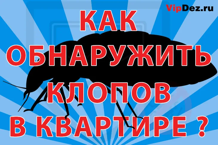 Как обнаружить постельных клопов в квартире