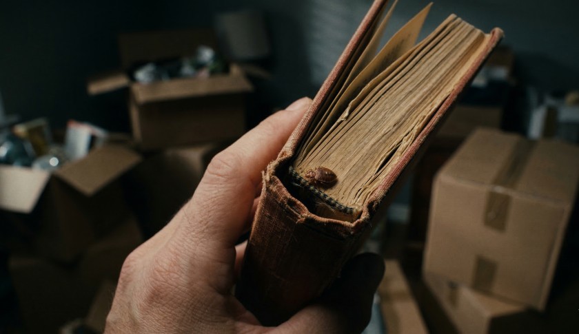 Переезд без клопов: пошаговое руководство, как не взять паразитов в новый дом