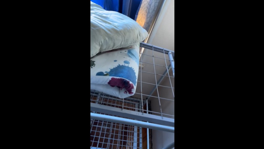 Дистанция безопасности: как предотвратить миграцию клопов со стен и потолка