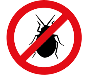 Уничтожение клопов