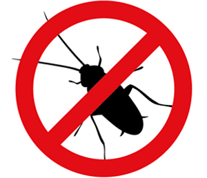 Уничтожение тараканов