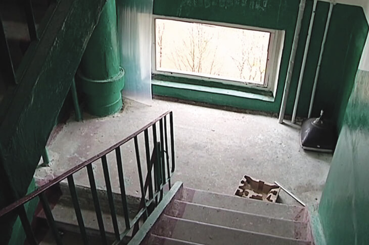 Тараканы в подъезде. Способы борьбы