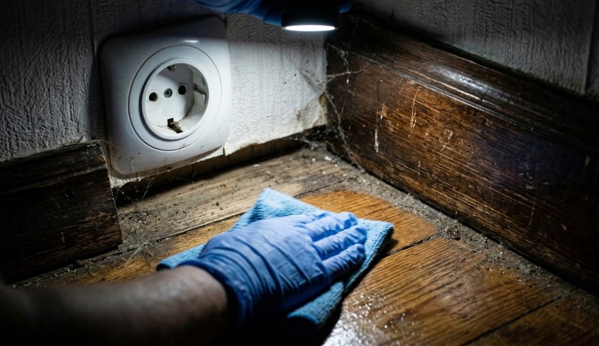 Мытье полов после дезинсекции от тараканов