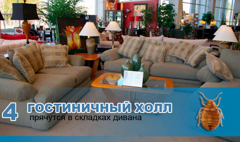 В складках дивана гостиничного холла. В складках дивана гостиничного холла.