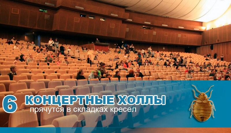 В складках кресел концертного холла. В складках кресел концертного холла.