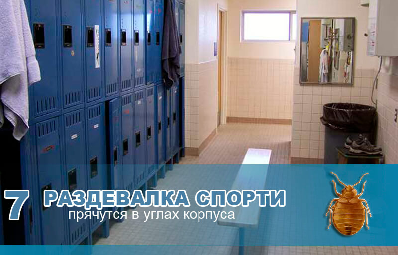 В спортивных раздевалках. В спортивных раздевалках.