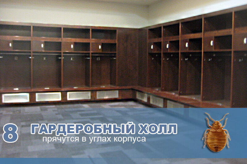 В гардеробном холе, клопы прячутся в углах корпуса. В гардеробном холе, клопы прячутся в углах корпуса.