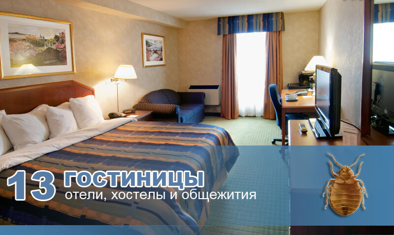Гостиницы, отели, хостелы и общежития бывают заражены клопами. Гостиницы, отели, хостелы и общежития бывают заражены клопами.