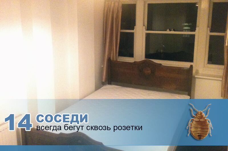 Клопы могут придти от соседей. Клопы могут придти от соседей.