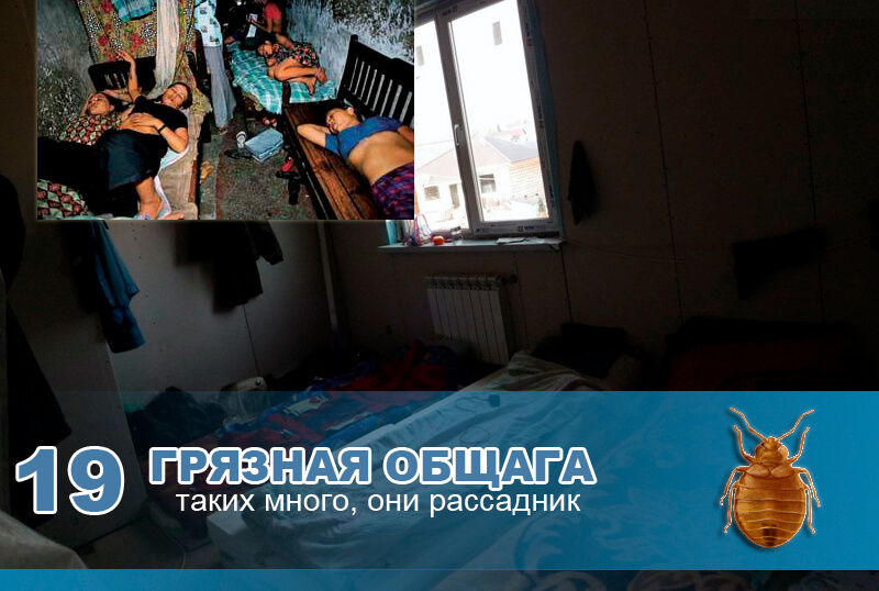 Грязная общага. Грязная общага.