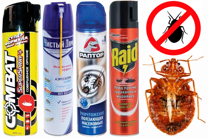Дихлофос против постельных клопов: честная инструкция от частного дезинфектора