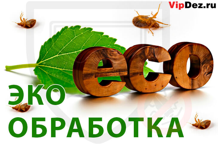 Эко обработка от клопов. Безвредная дезинсекция в квартире.