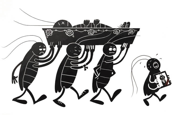 Чистим квартиру от тараканов