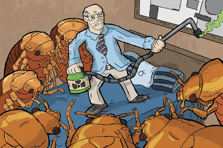 Как избавиться от постельных клопов в квартире самостоятельно?!