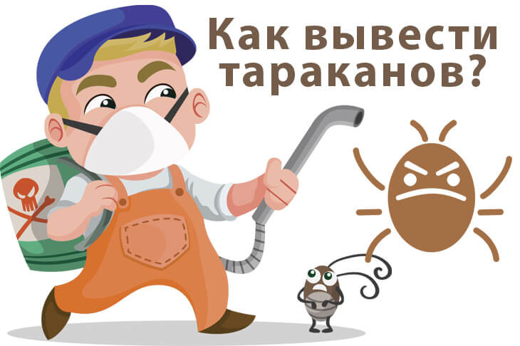 Как вывести тараканов из квартиры в домашних условиях?
