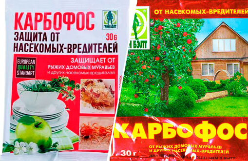 Фото пачек Карбофоса от клопов.