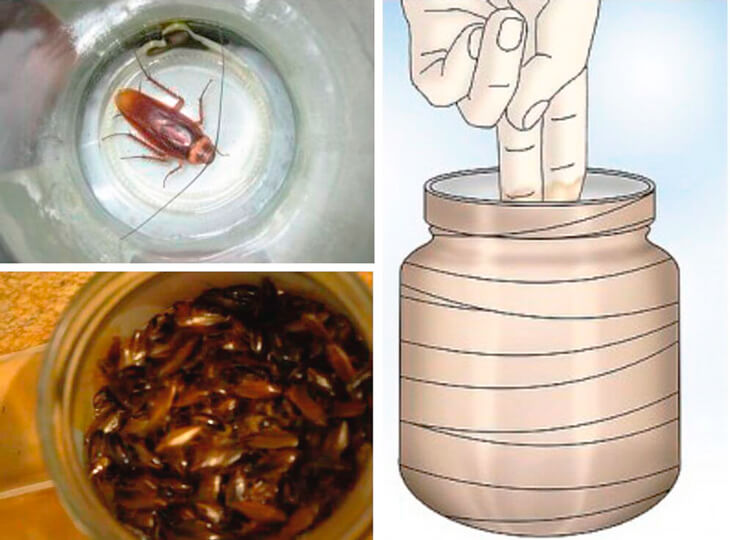 Ловушки для тараканов Ловушка банка.