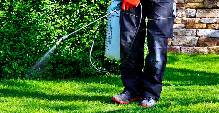 Как обработать участок от клещей: советы частного дезинфектора Обработка участка от клещей химией