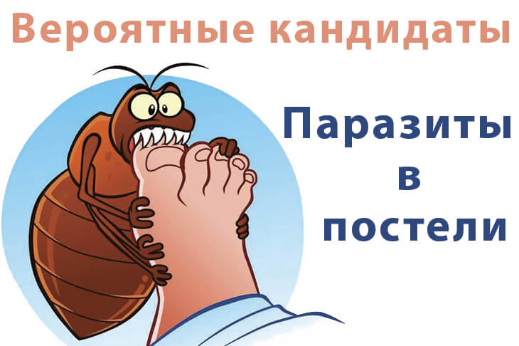 Паразиты в постели. Меры противодействия и средства.