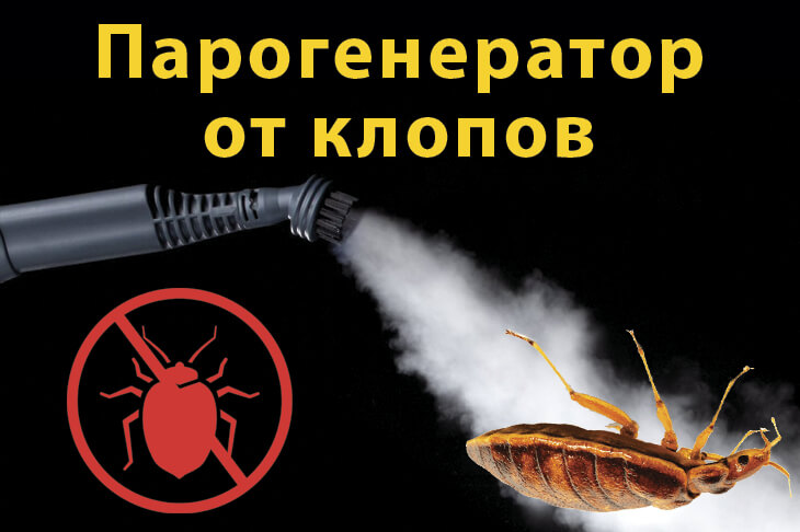 Парогенератор от клопов