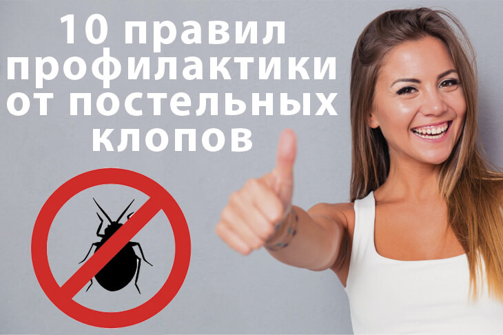 Профилактика от постельных клопов