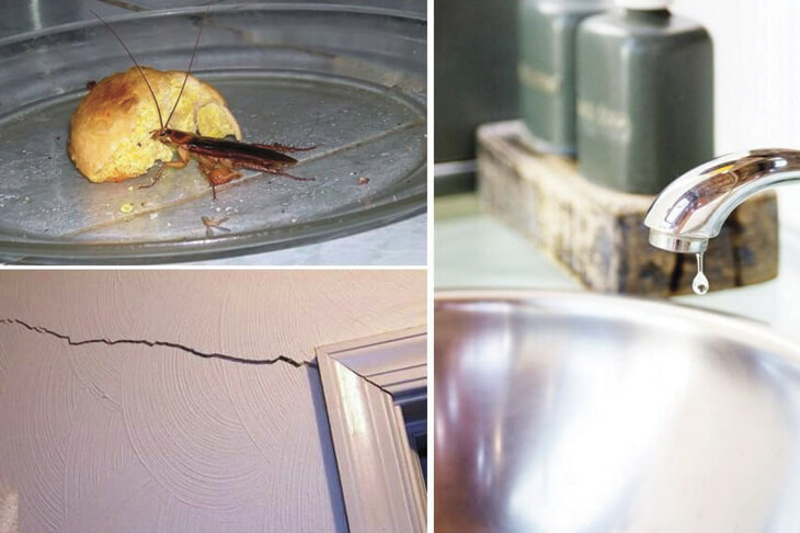 Профилактика появления тараканов