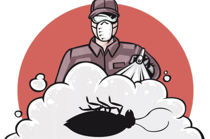 Эффективное средство от клопов