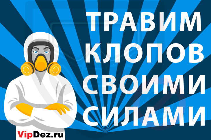 Травим клопов самостоятельно