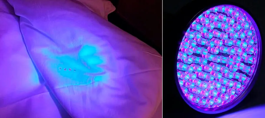 Ультрафиолетовый фонарик подсвечивает следы постельных клопов